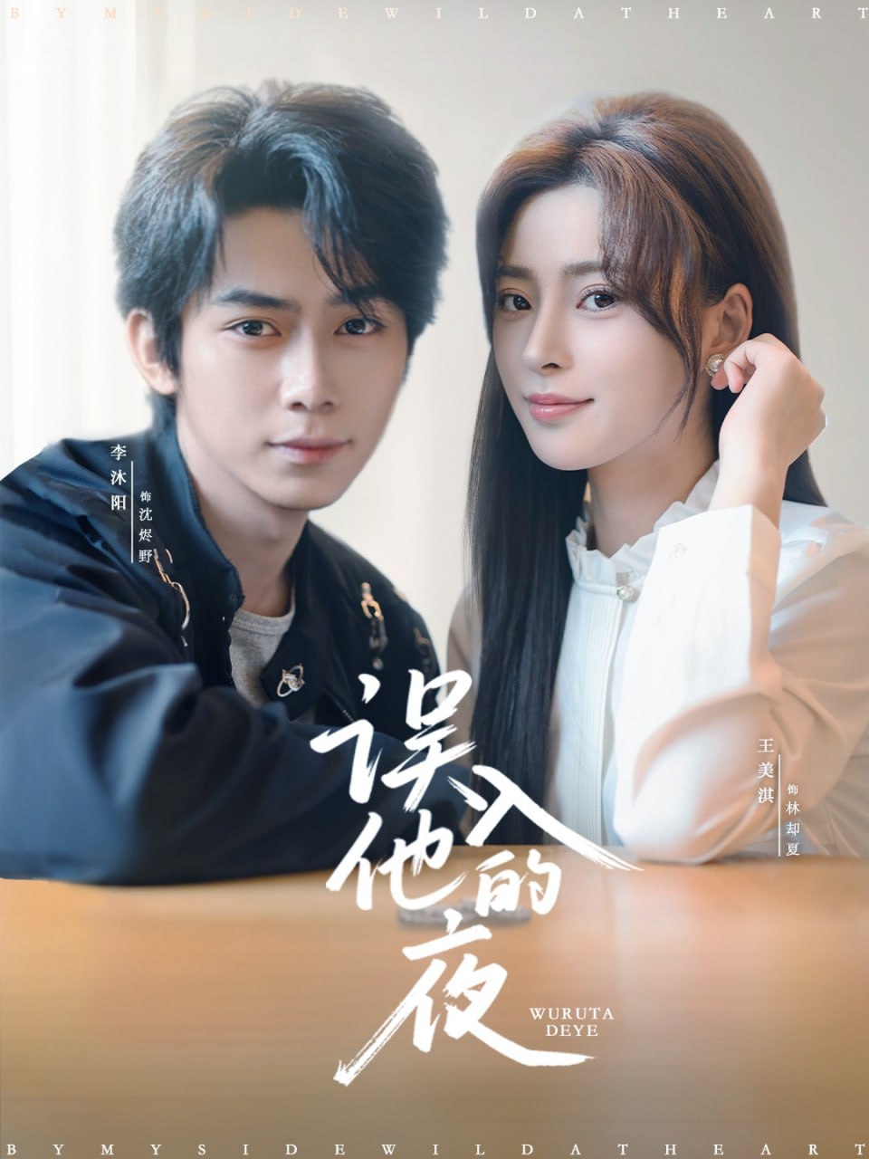 误入他的夜（烬夏危情）(全集)