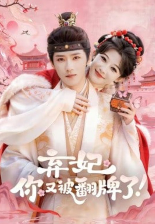 弃妃，你又被翻牌了(全集)
