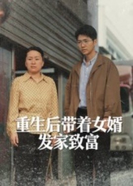 重生后带着女婿发家致富(全集)