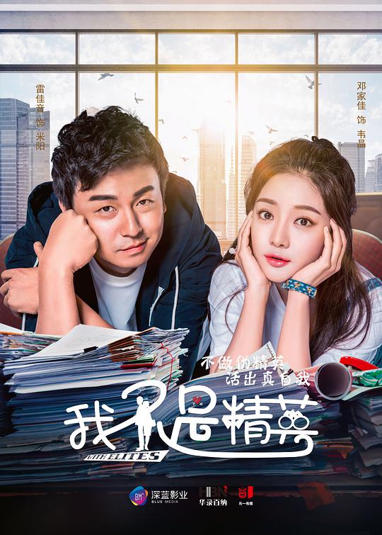 我不是精英网络版第13集