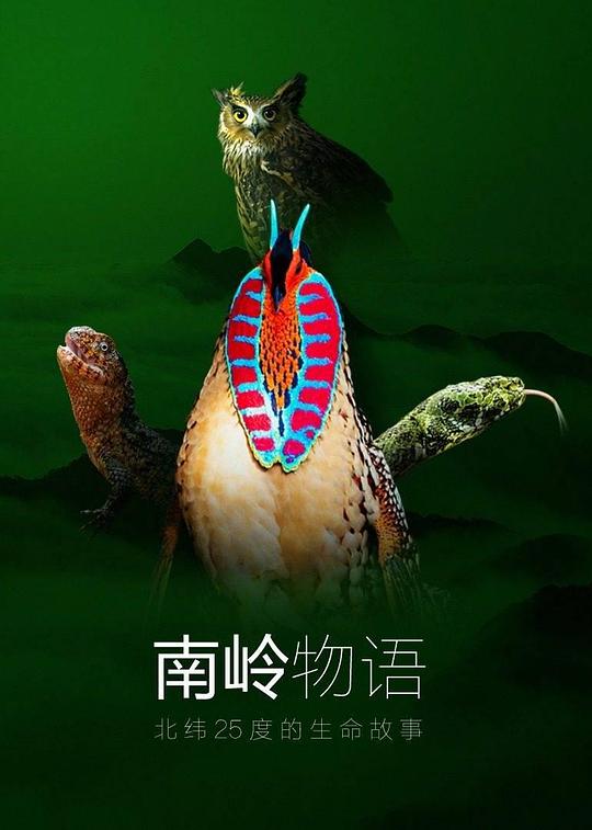 南岭物语第1集