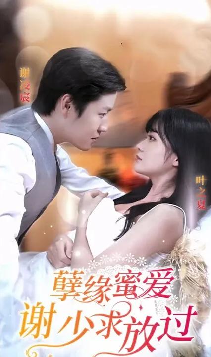 孽缘蜜爱谢少求放过全集(大结局)