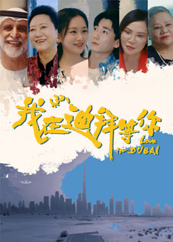 我在迪拜等你第04集
